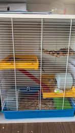 Compleet hamster kooi met travel box, Kooi, Minder dan 75 cm, Minder dan 60 cm, Ophalen of Verzenden