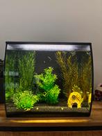 Fluval flex 57liter aquarium, Ophalen, Zo goed als nieuw, Overige typen