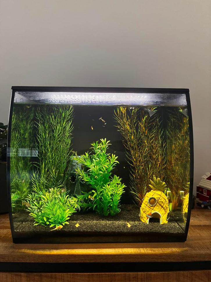 Fluval flex 57liter aquarium, Dieren en Toebehoren, Vissen | Aquaria en Toebehoren, Zo goed als nieuw, Overige typen, Ophalen