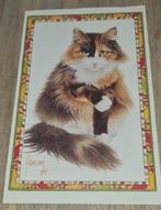 Hele mooie langharige poes - Francien, Verzenden, Ongelopen, Overige thema's