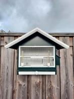 Vinkenkooi, Dieren en Toebehoren, Vogels | Hokken en Kooien, Ophalen of Verzenden, Gebruikt, Hout, Vogelkooi