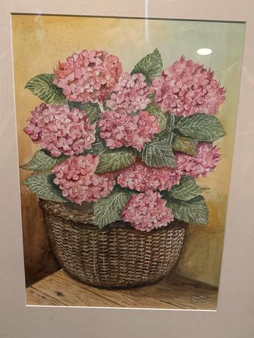 Aquarel hortensia’s gisigneerd beschikbaar voor biedingen