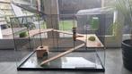 Knaagdieren kooi: 98 cm x 60 cm x 52 cm (LxHxB), Kooi, Gebruikt, Hamster, 75 tot 110 cm