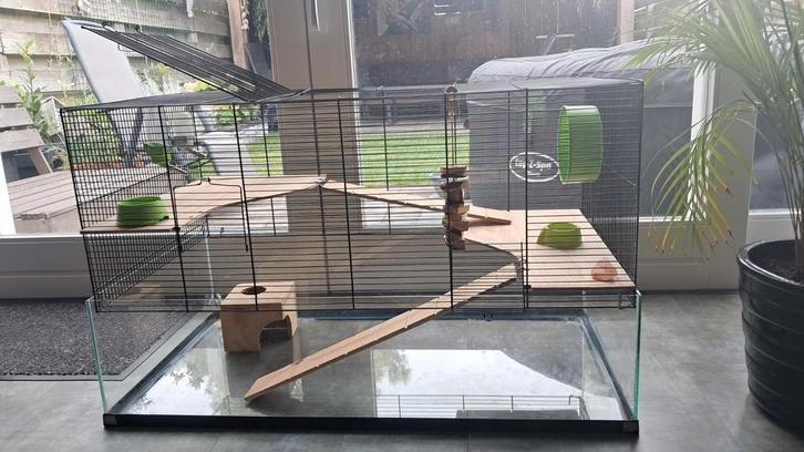 Knaagdieren kooi: 98 cm x 60 cm x 52 cm (LxHxB), Dieren en Toebehoren, Knaagdieren en Konijnen | Hokken en Kooien, Gebruikt, Kooi