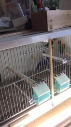 Agaporniden, Ophalen of Verzenden, Zo goed als nieuw, Vogelkooi