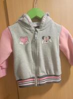 Meisjes vestje, Kinderen en Baby's, Babykleding | Maat 86, Ophalen of Verzenden, Gebruikt, Meisje, Truitje of Vestje