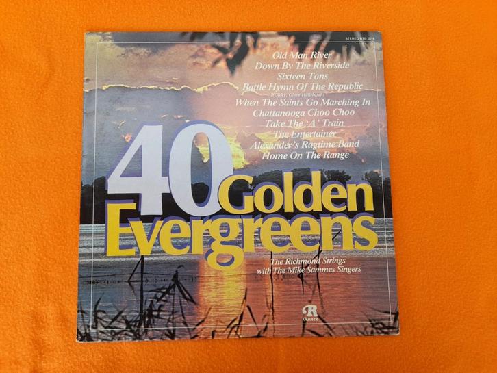 40 Golden Evergreens - The Richmond Strings (UK 1976), Cd's en Dvd's, Vinyl | Wereldmuziek, Gebruikt, Overige soorten, 12 inch