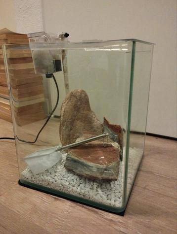 Prachtig nano aquarium 