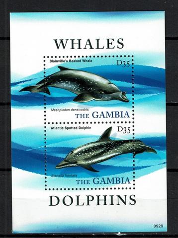 gambia pf blok dolfijnen dolphins zeeleven zeezoogdieren 2 beschikbaar voor biedingen