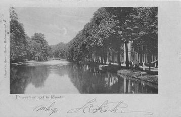 (701-353-009) Gouda Fluweelensingel beschikbaar voor biedingen