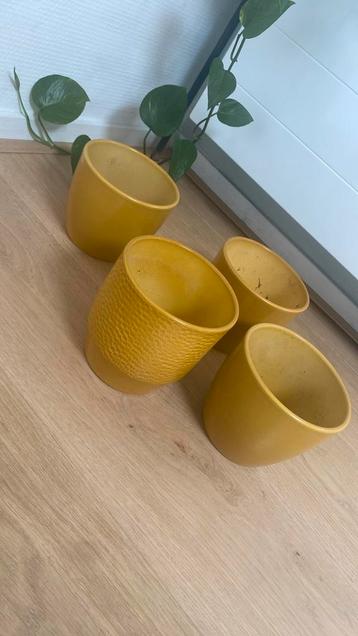 4 okergele bloempotten beschikbaar voor biedingen