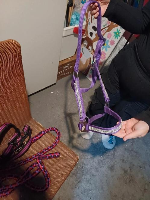 Halster maat Full paars, Dieren en Toebehoren, Paarden en Pony's | Hoofdstellen en Tuigage, Zo goed als nieuw, Overige soorten