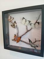 Ingelijste vlinders, Ophalen of Verzenden