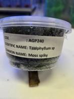 mos, Overige typen, Zoetwatervis