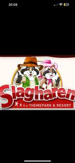 2x ticket slagharen, Tickets en Kaartjes, Twee personen, Ticket of Toegangskaart