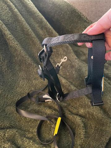 Honden harnas (tuigje) met looplijn nylon  beschikbaar voor biedingen