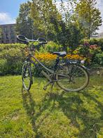RIH Damesfiets -54cm  Goed Onderhouden, Versnellingen, Ophalen, Overige merken, 53 tot 56 cm