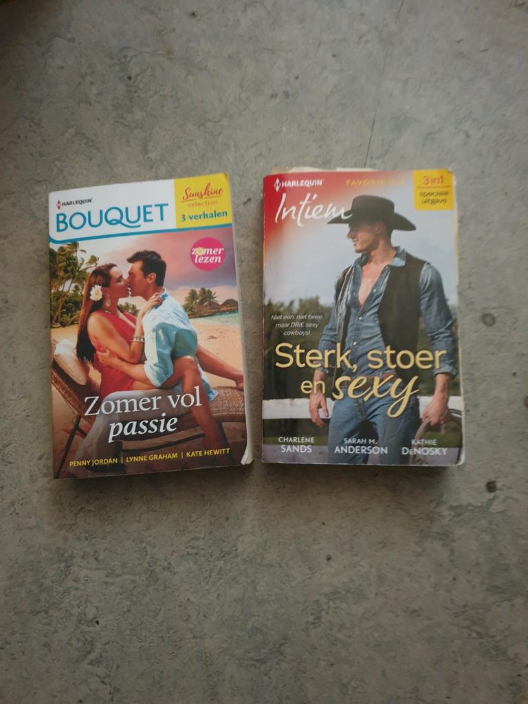 Twee romannetjes, Boeken, Ophalen of Verzenden, Zo goed als nieuw