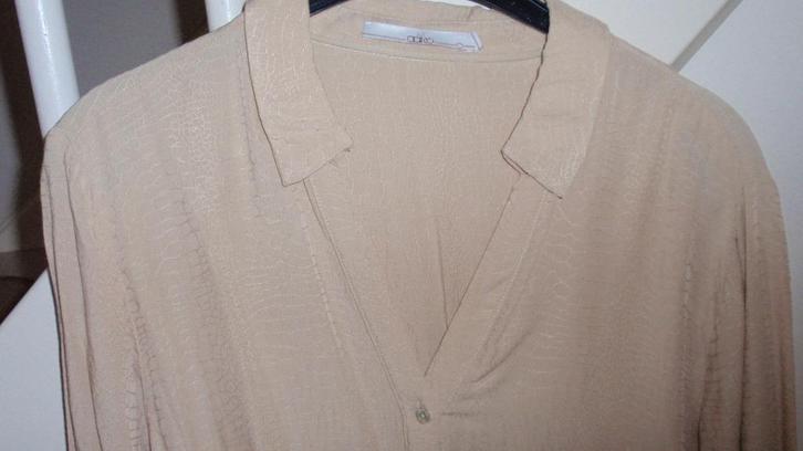NIEUW Damesblouse AAIKO maat large beige 100%viscose l mouw, Kleding | Dames, Blouses en Tunieken, Nieuw, Maat 42/44 (L), Beige