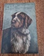 1905-1915 Karl Uhlemann Duitse staande Draadhaar, Ophalen of Verzenden