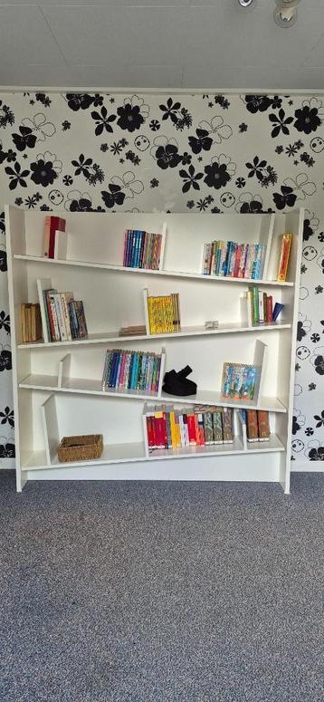 Unieke boekenkast in prijs verlaagd beschikbaar voor biedingen
