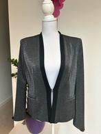 ZGAN grijze Drykorn blazer met glitter mt 5 (XL), Drykorn, Zwart, Maat 46/48 (XL) of groter, Ophalen of Verzenden