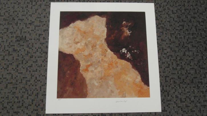 ARMANDO ; gesigneerde kleurrijke kunstdruk plus boek, Antiek en Kunst, Kunst | Litho's en Zeefdrukken, Ophalen of Verzenden