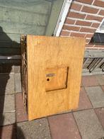 Duivenmand ( opleer/Jonge duiven), Dieren en Toebehoren, Mannelijk