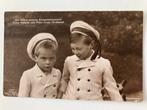 Pruisen 9:,Wilhelm en Louis Ferdinand, Verzenden, Gebruikt, Kaart, Foto of Prent