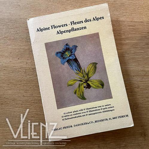 Vintage, retro boek Alpine Flowers, alpenbloemen illustratie, Boeken, Natuur, Gelezen, Bloemen, Planten en Bomen, Ophalen of Verzenden