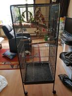 Vogelkooi, Dieren en Toebehoren, Vogels | Hokken en Kooien, Ophalen, Gebruikt, Metaal, Vogelkooi