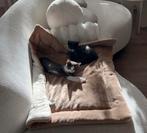 2 kittens, Dieren en Toebehoren, Poes, Kortharig, 0 tot 2 jaar