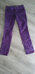 Esprit broek, maat 40 - Nieuw!, Maat 38/40 (M), Paars, Nieuw, Ophalen of Verzenden