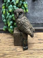 Brynxz uil Majestic Brown, ., Nieuw, Ophalen of Verzenden, .