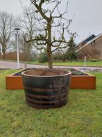 Zeer Groot Eikenhouten Whiskeyvat Plantenbak 250 Liter, Ophalen, Rond, Nieuw, Tuin