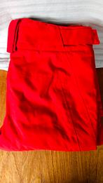 Skibroek/ snowboard broek maat L, 33 inch, Ophalen of Verzenden, Gebruikt, Schoenen