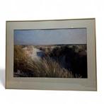 Jan Jansma (1956) - Duingebied, Ophalen of Verzenden