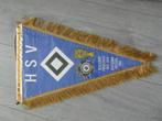 27 vanen hamburger sv HSV zeer oud en zeldzame jaren 60 70, Ophalen of Verzenden, Zo goed als nieuw, Buitenlandse clubs, Vaantje of Sjaal