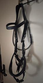 Hoofdstel PresTeq FaySport Zwart Full, Dieren en Toebehoren, Ophalen of Verzenden, Zo goed als nieuw, Dressuur