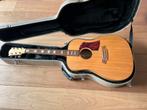 Cole Clark gitaar - FL2a - Dreadnought!, Muziek en Instrumenten, Ophalen of Verzenden, Gebruikt, Western- of Steelstringgitaar