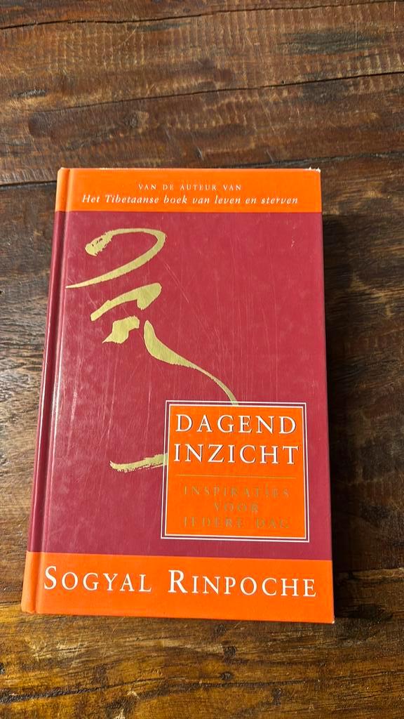 Sogyal Rinpoche - Dagend inzicht, Boeken, Filosofie, Zo goed als nieuw, Ophalen of Verzenden