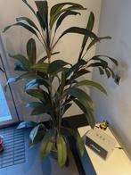 Kunstplant 150cm hoog, Huis en Inrichting, Ophalen of Verzenden, Zo goed als nieuw