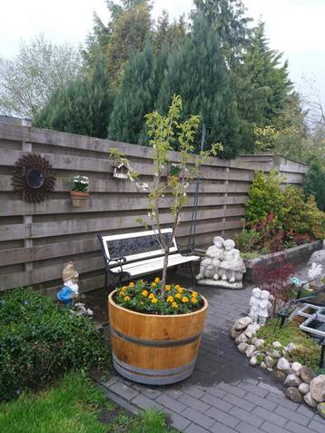 Bloembakken bloembak plantenbak  beschikbaar voor biedingen