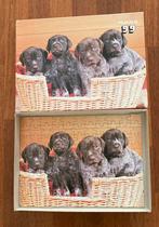 Puzzel met hondjes 99 stukjes, Ophalen of Verzenden, Meer dan 50 stukjes, Zo goed als nieuw, 6 jaar of ouder