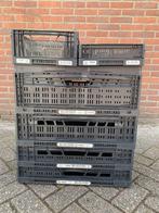 Klapkratten van Kunststof Zwart en Groen, Doe-het-zelf en Verbouw, Kratten en Dozen, Gebruikt, 40 tot 60 cm, Opvouwbaar, 50 tot 75 cm