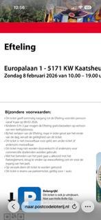 2 Efteling kaarten voor zondag 8 februari, Tickets en Kaartjes, Twee personen, Ticket of Toegangskaart