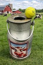 Verhuur: Oud hollandse spelletjes, Blikgooien, Eendjesvangen, Ophalen of Verzenden, Zo goed als nieuw, Overige