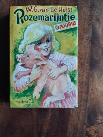 .W.G. van de Hulst Omnibus beschikbaar voor biedingen