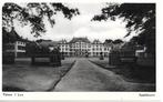 Apeldoorn, Paleis 't Loo, 1960, Verzenden, 1940 tot 1960, Gelopen, Gelderland