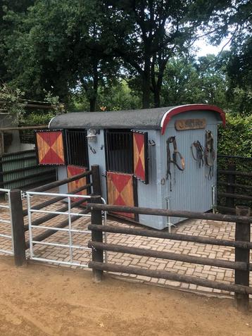 Schuilstal pony beschikbaar voor biedingen